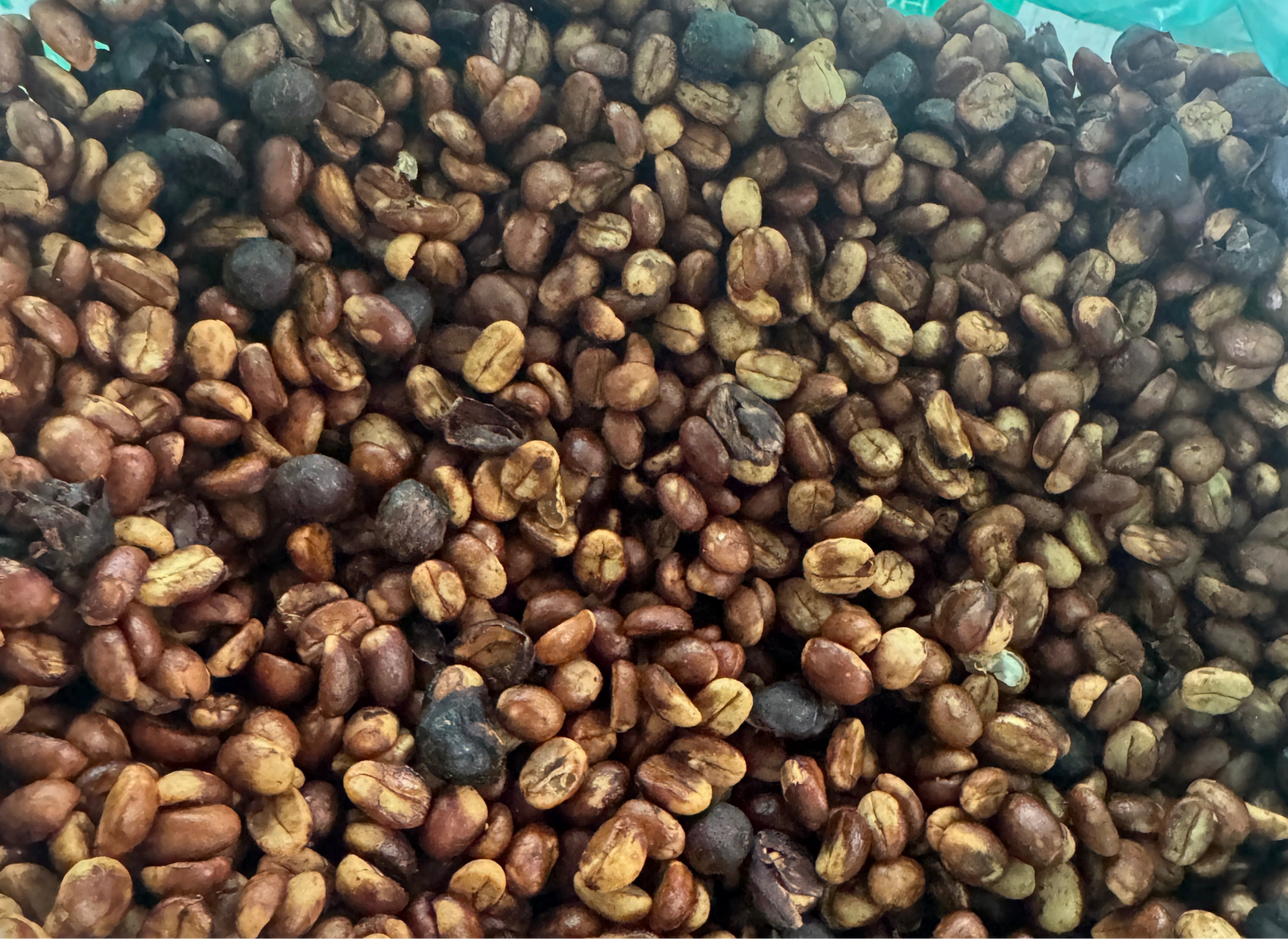 Sierra Norte Red Honey