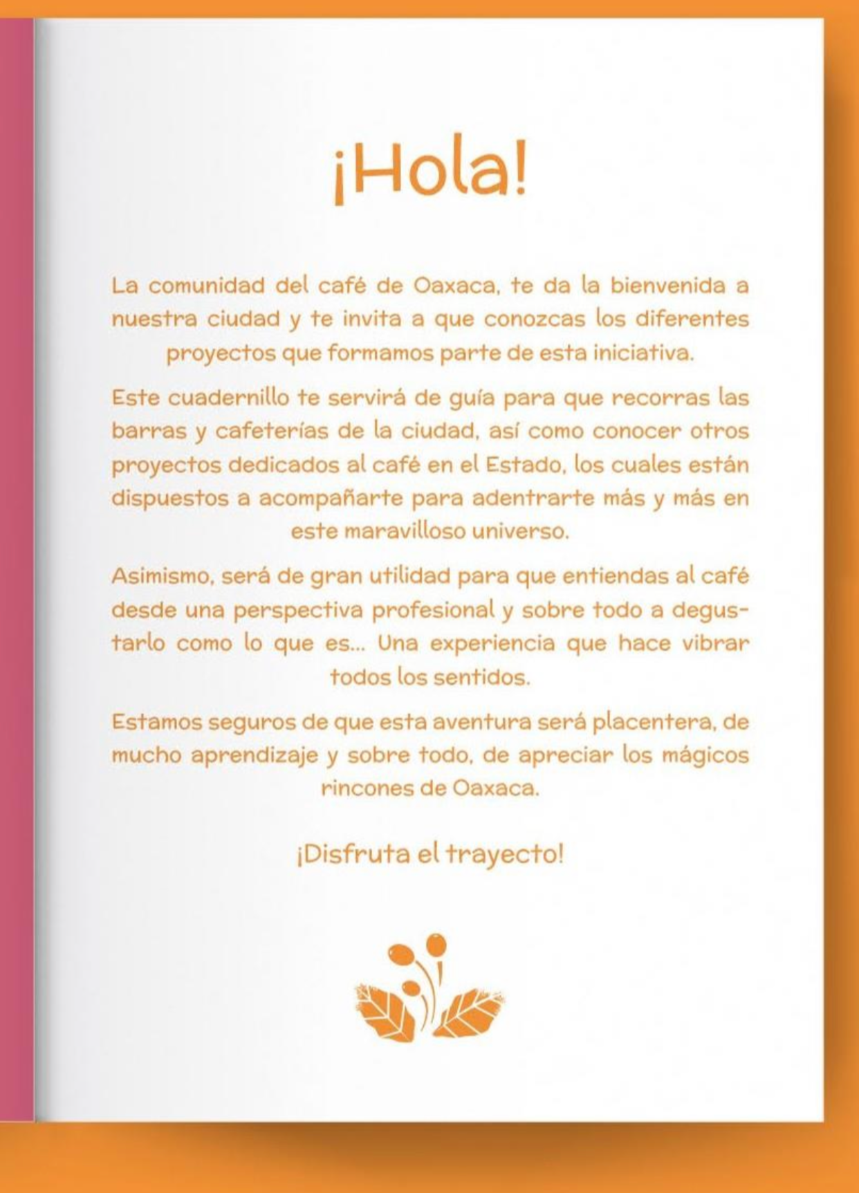 Guia Cafecito Trail